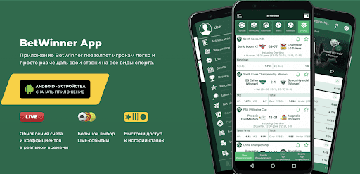 Découvrez l'excellence du jeu en ligne avec Betwinner Casino
