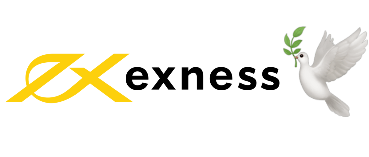 Complete Guide to Exness Forex Broker Your Path to Successful Trading